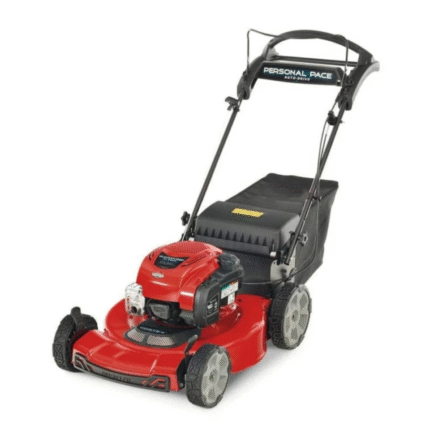 Recycler 22 in Briggs And Stratton Personal Pace Rear Wheel Drive Gas Self Propelled Lawn Mower