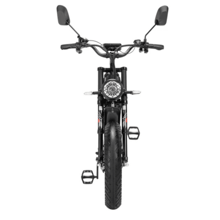 Ridstar Q20Pro 2000W Fat Tire Electric Bicycle - Image 5